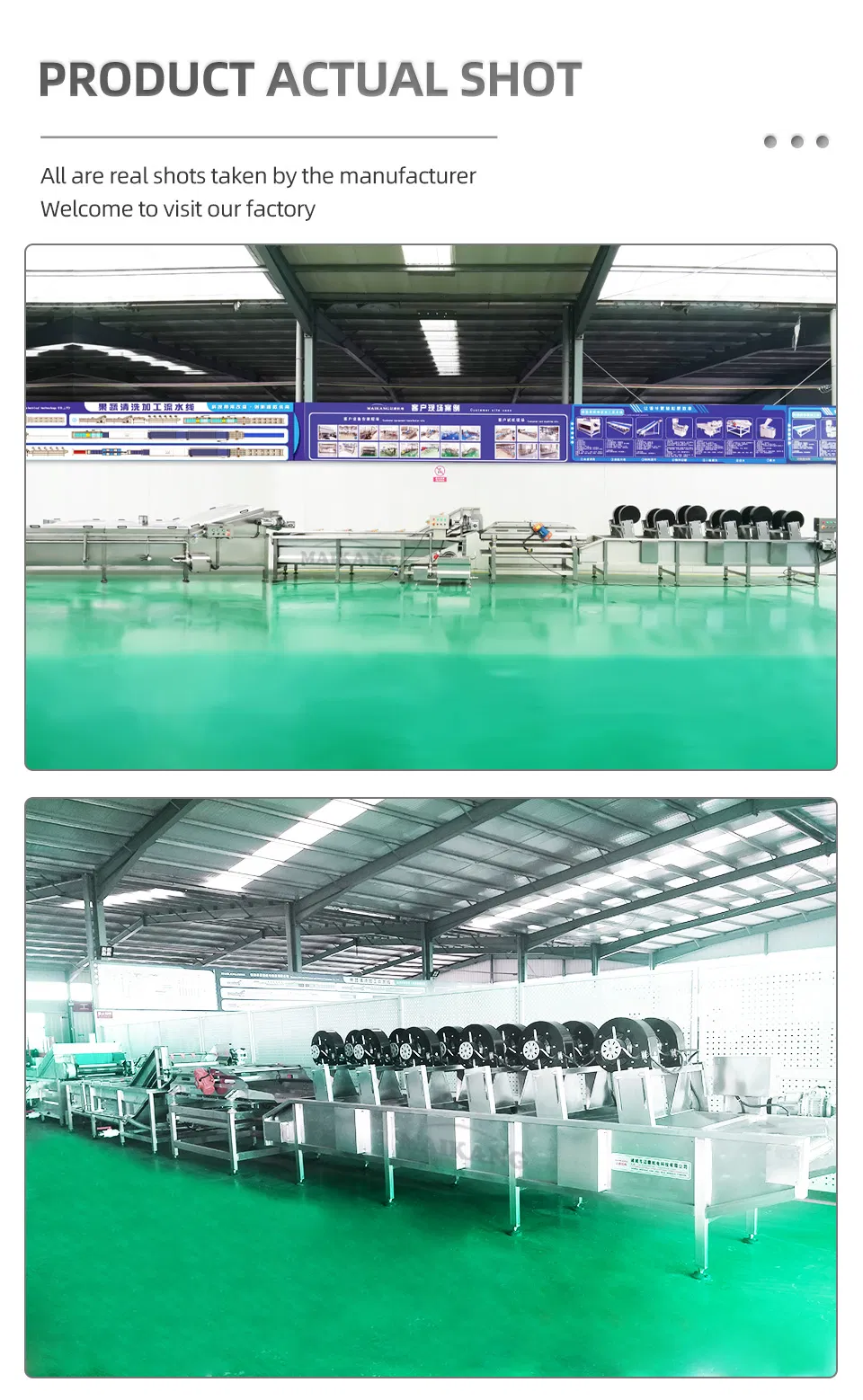 Heavy Duty Food Vegetable Cooking Steaming Line Thermal Blanching Boiler Steam Bleacher Machine for Onion Carrot Cucumber Processing Plant Factory Use