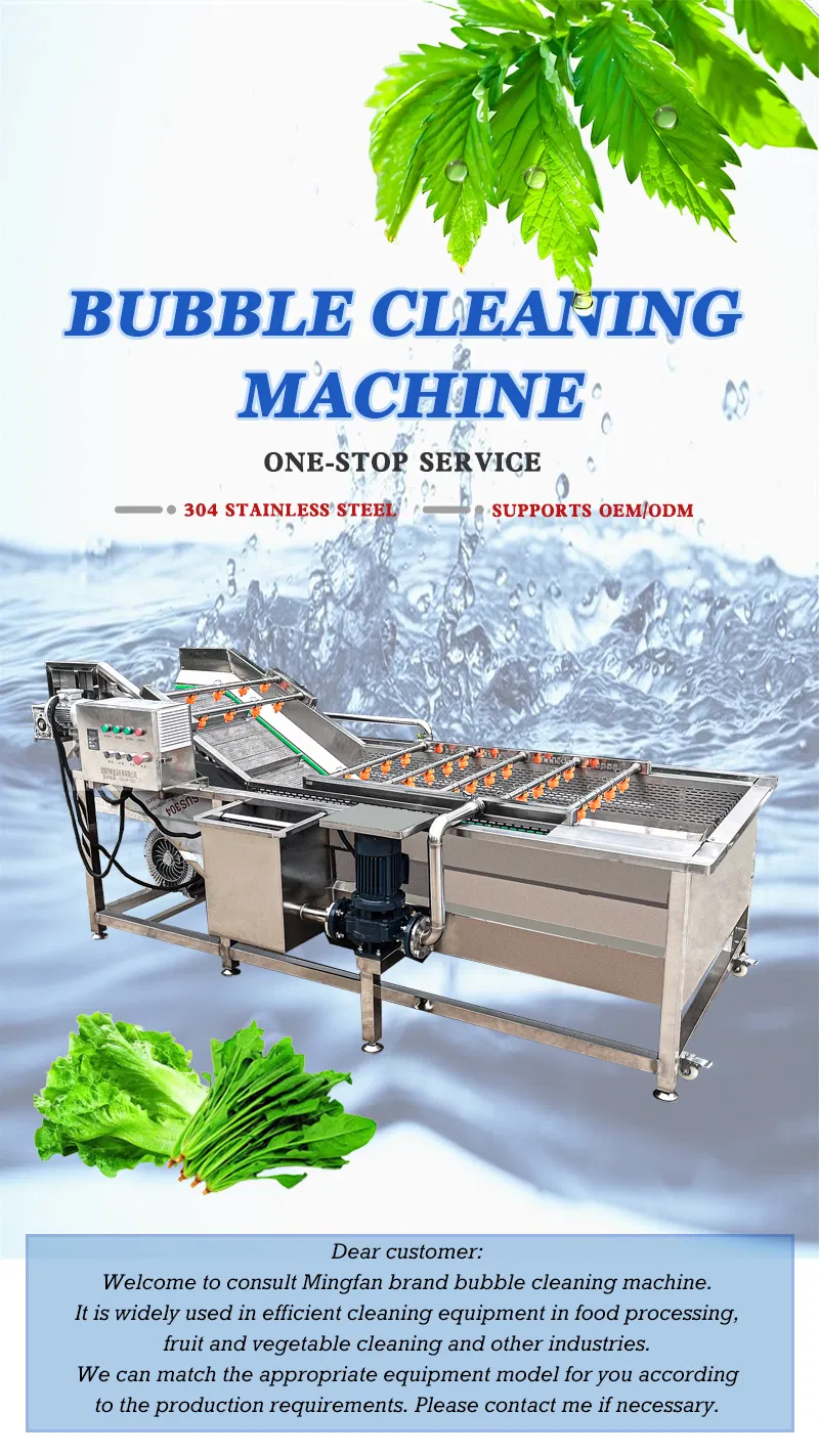 Bubble Washing Equipment for Sushi-Grade Fish and Raw Fish Preparation