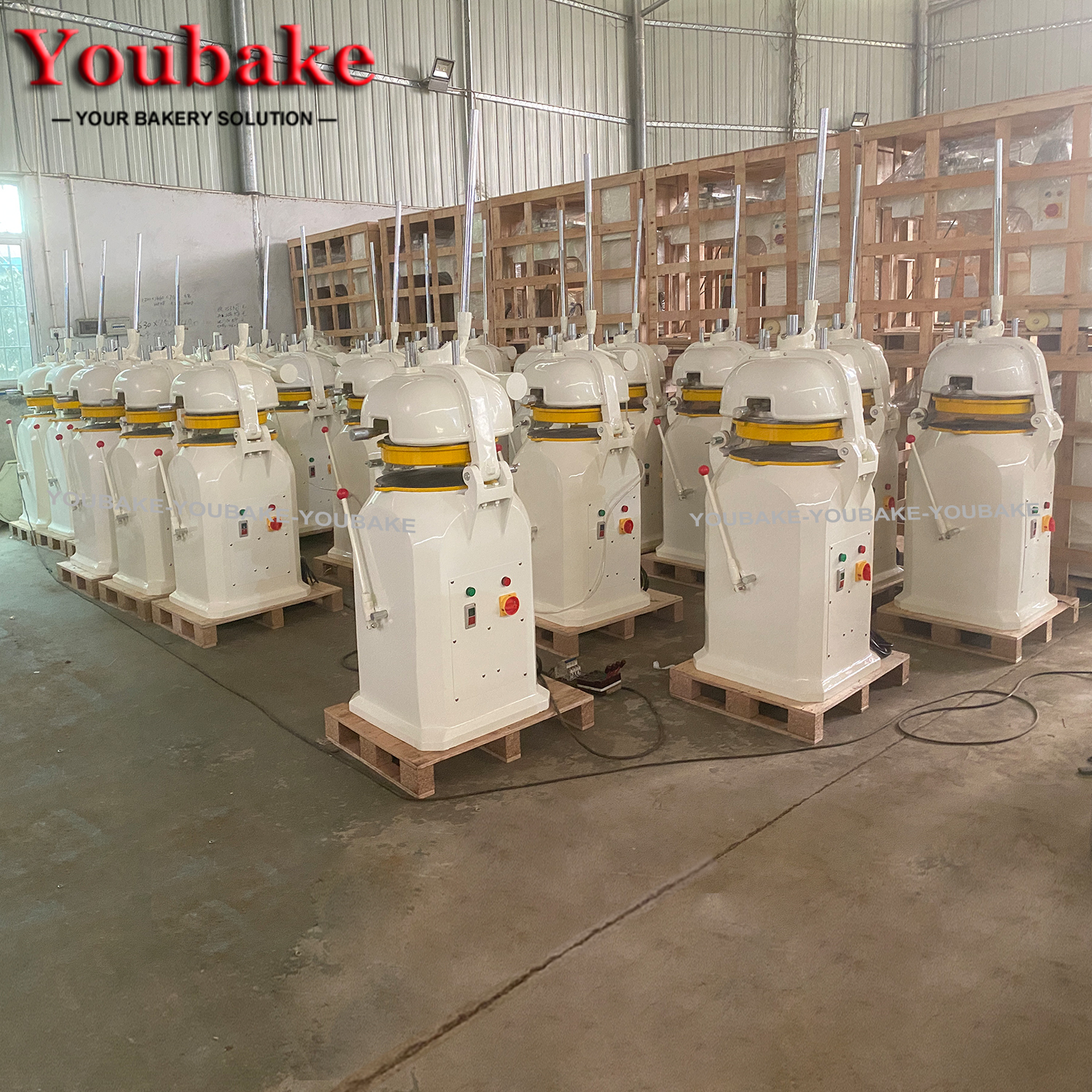 Factory Profile 6