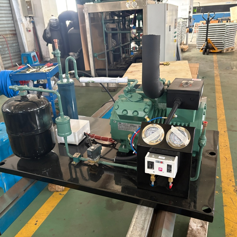 Condenser Unit Compressor for Cold Room Cooling and Freezers