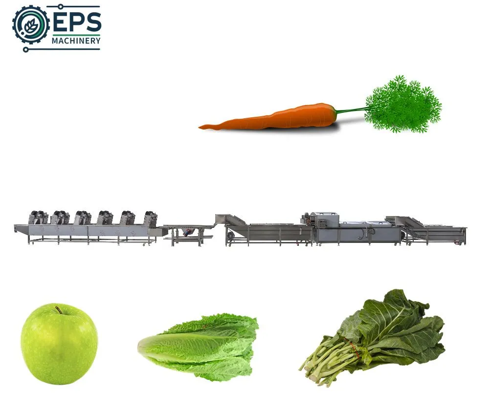 Vegetable Washing Machine Food Equipment Fruit Cleaning Machine