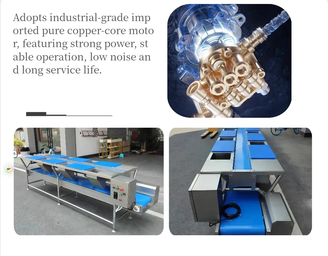 Premium Vegetable Cutting and Sorting Worktable for Efficient Food Prep