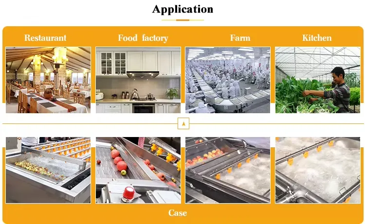 Vegetable Washing Machine Food Equipment Fruit Cleaning Machine