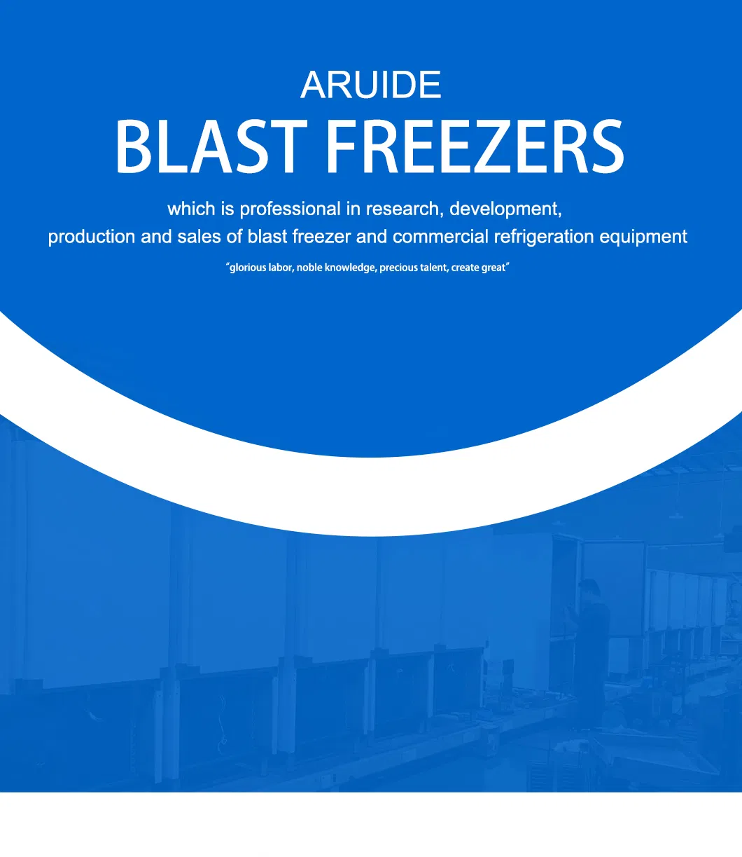 Best Selling New Style Easy to Operate Energy Saving Counter Chiller and Freezer