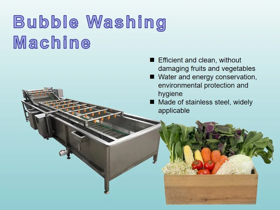 Source Manufacturer Vegetable Cleaning Fruit Washing Machine for Efficient Vegetable Cleaning in Central Kitchen Preparation