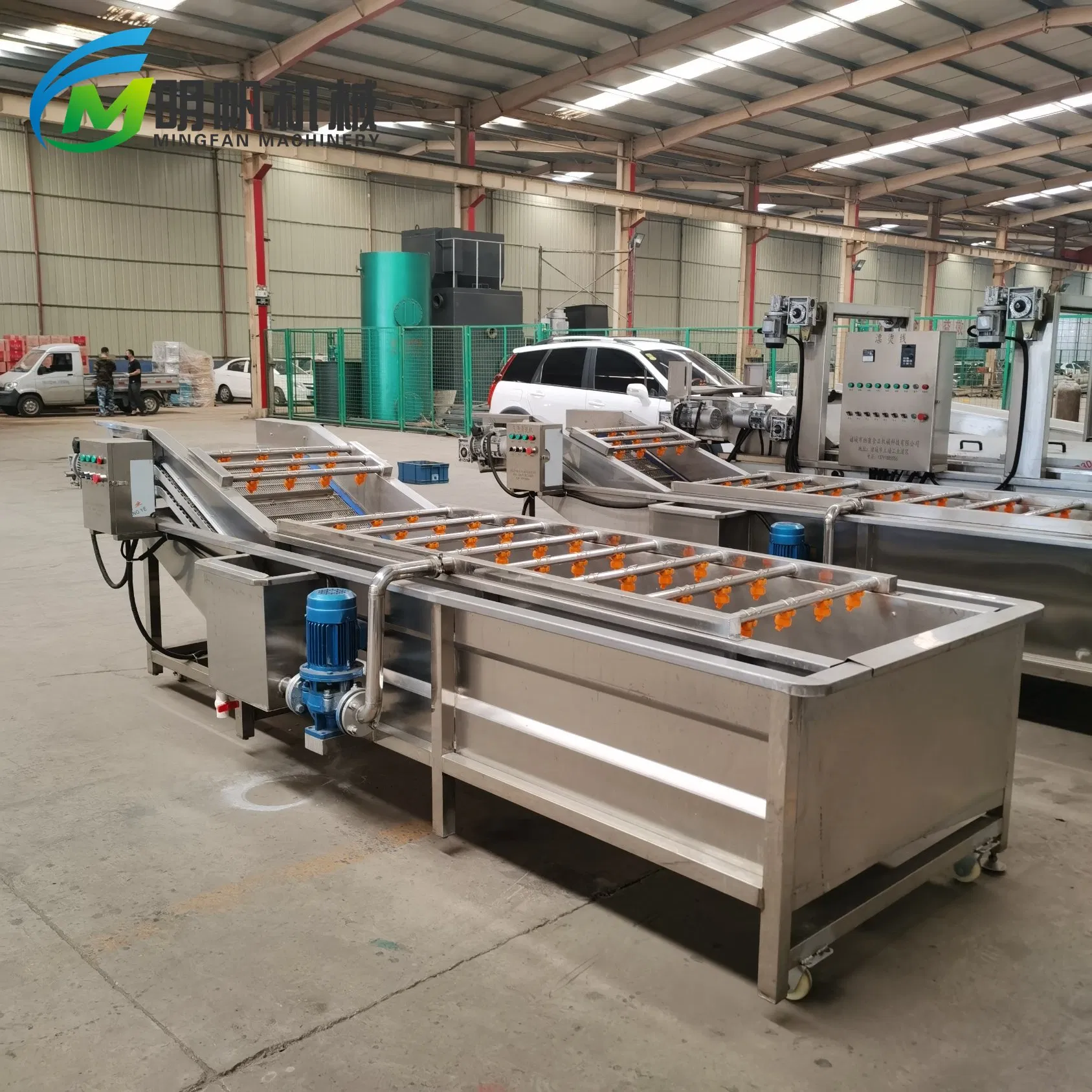 Bubble Washing Equipment for Sushi-Grade Fish and Raw Fish Preparation