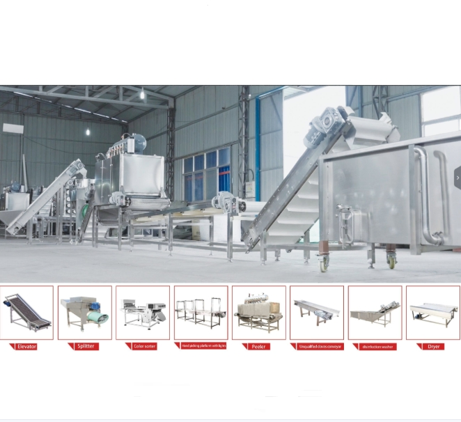 Garlic Peeling Machine for Large Production Peeled Garlic Machine Agricultural Machinery