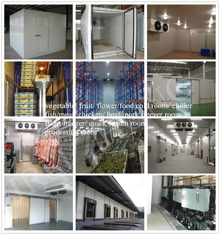 Air-Cooled Freezer Unit Automatic Condenser Refrigeration Compressor Condensing Unit for Restaurant Cold Rooms