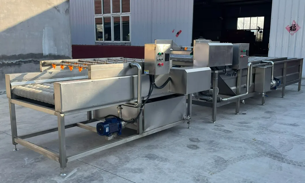 Citrus Mango Onion Cleaning Machine Use Various Potato Carrot Cassava Preparation Processes
