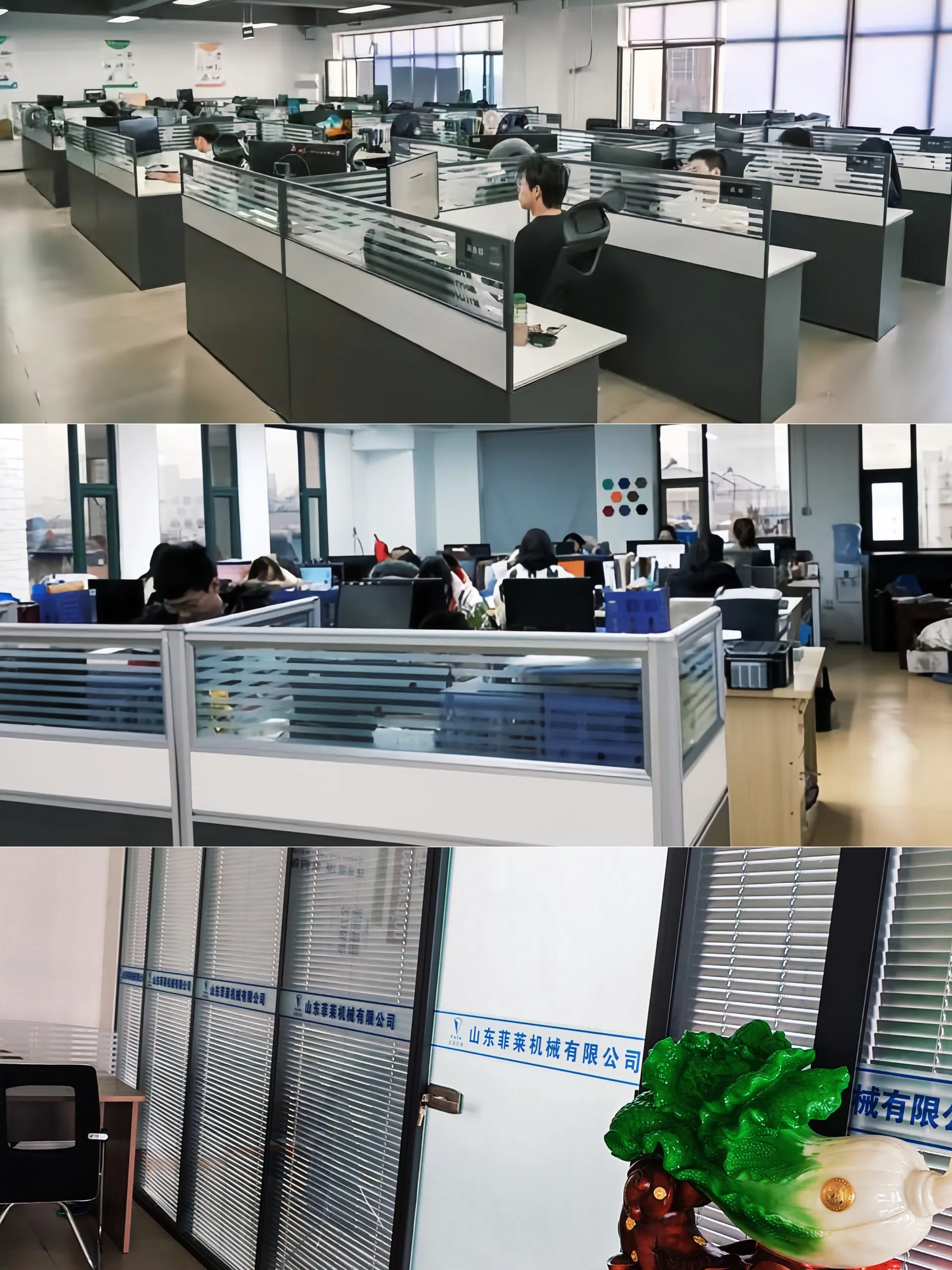 Premium Vegetable Cutting and Sorting Worktable for Efficient Food Prep