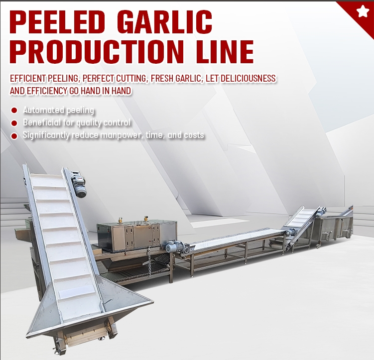Garlic Peeling Machine for Large Production Peeled Garlic Machine Agricultural Machinery