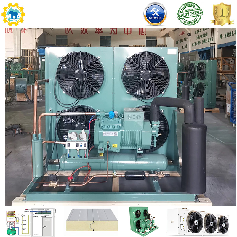 10 Ton Emerson Compressor Condensing Unit Air-Cooled Refrigeration Unit for Cold Room Blast Freezer Restaurants