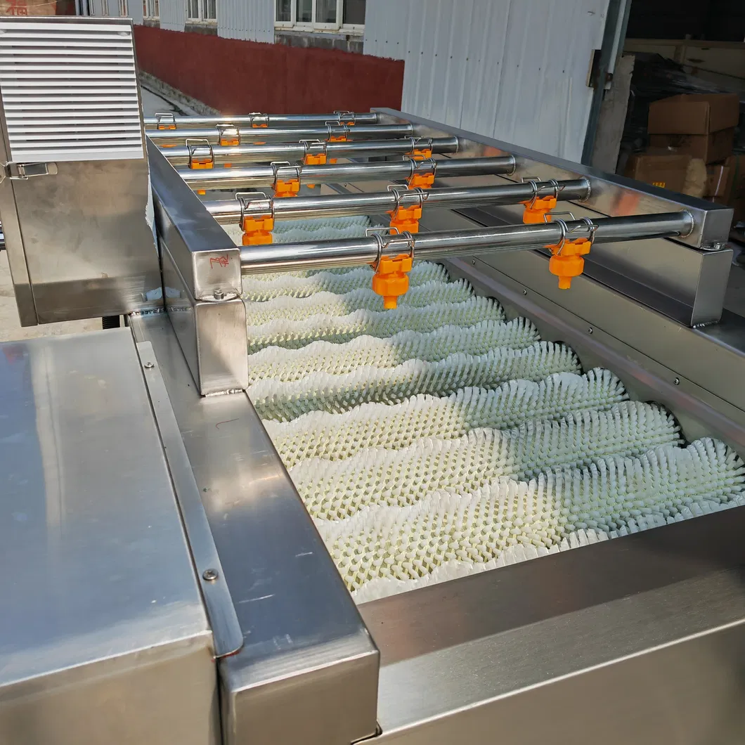 Citrus Cassava Carrot Cleaning Machine and Superior Various Potato Preparation Processes