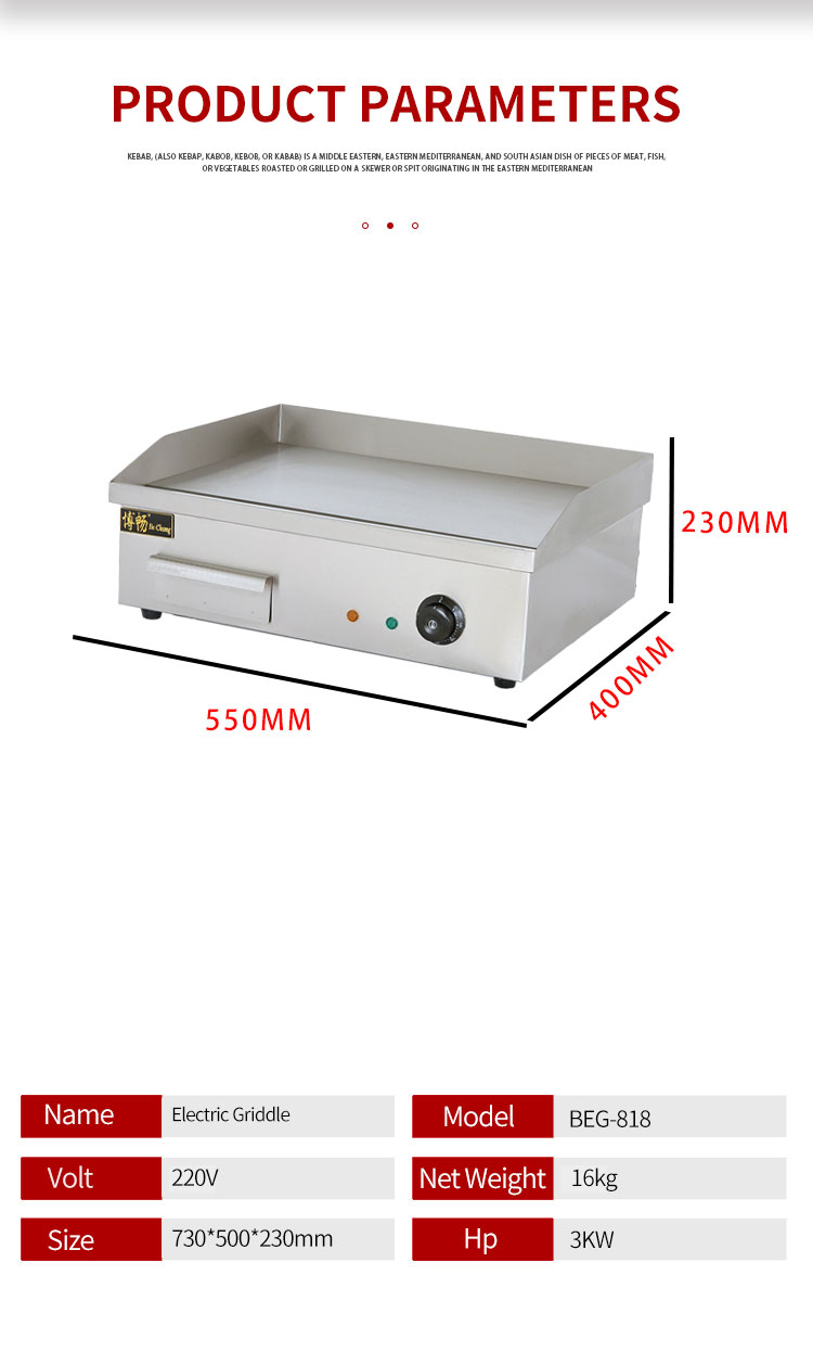 Electric Griddle Presentation 2