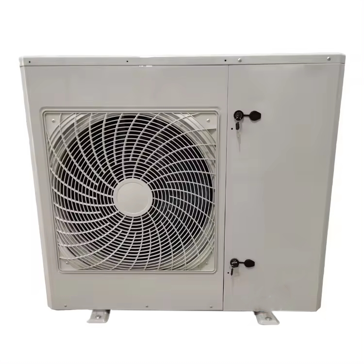 Air-Cooled Freezer Unit Automatic Condenser Refrigeration Compressor Condensing Unit for Restaurant Cold Rooms
