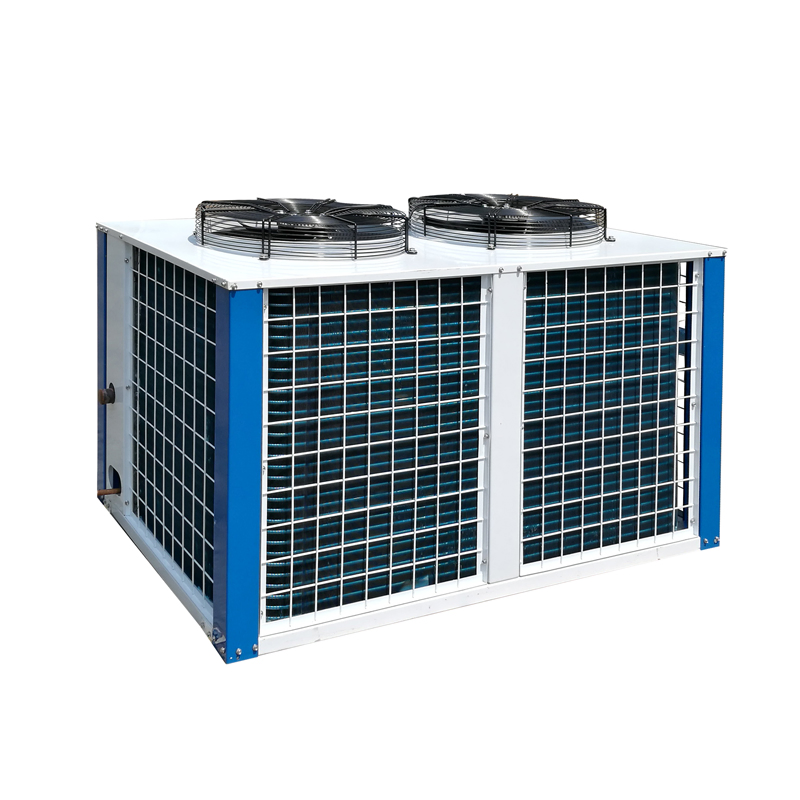 Kendall Vegetable Cooler Refrigeration Unit Monoblock Freezer Refrigeration Unit for Cold Room