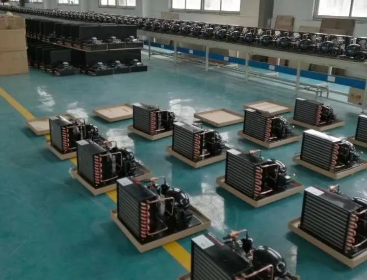 Our Plant Production Workshop 2