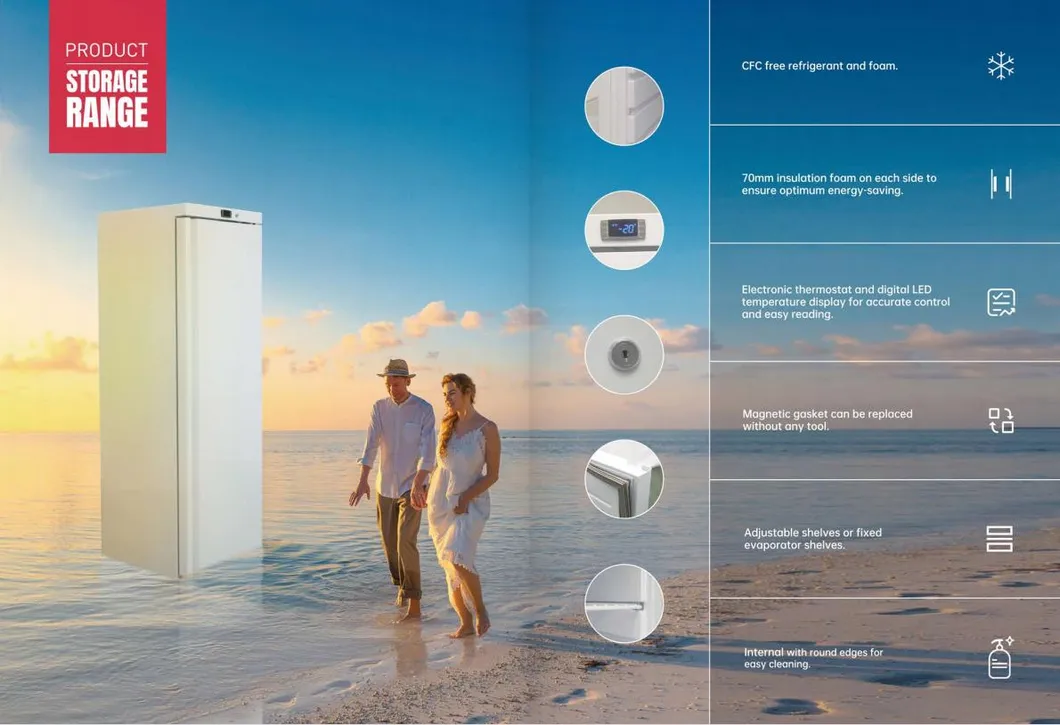 Detailed Product View 2