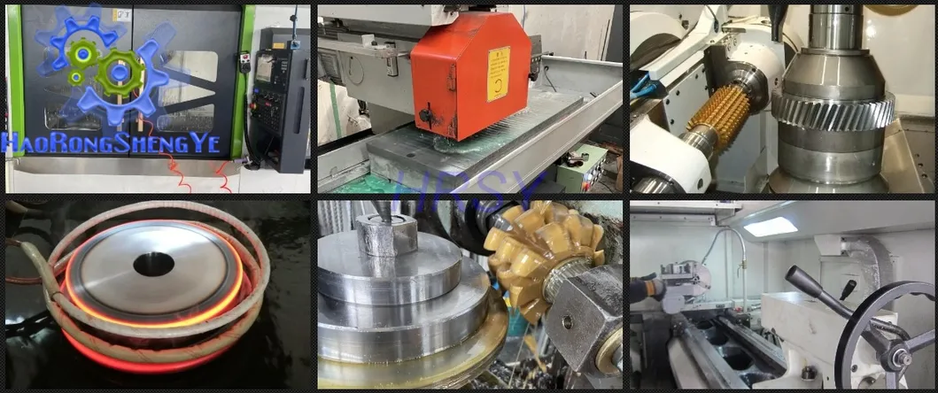 CNC Machine Hot Sale M1.25 Black Steel with Hub Spur Gear