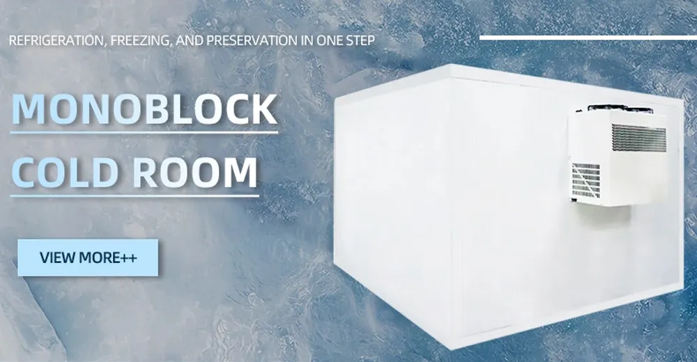 Vegetable Cooler Refrigeration Unit Monoblock Freezer Refrigeration Unit for Cold Room