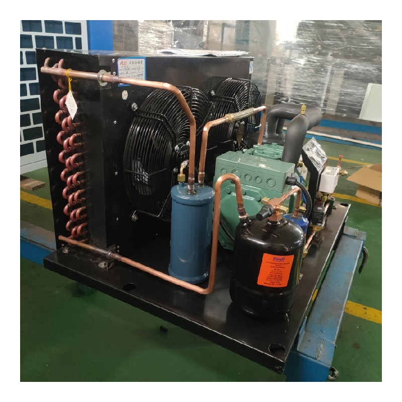 Condenser Unit Compressor for Cold Room Cooling and Freezers