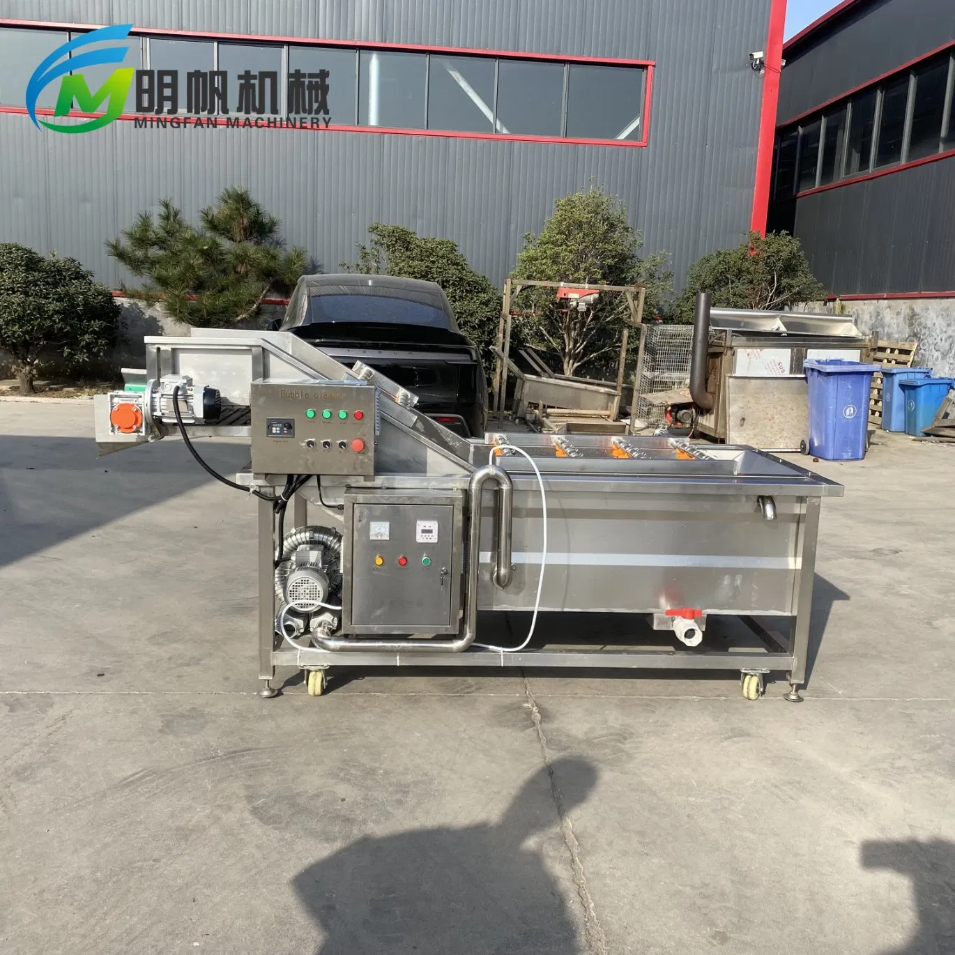 Bubble Washing Equipment for Sushi-Grade Fish and Raw Fish Preparation