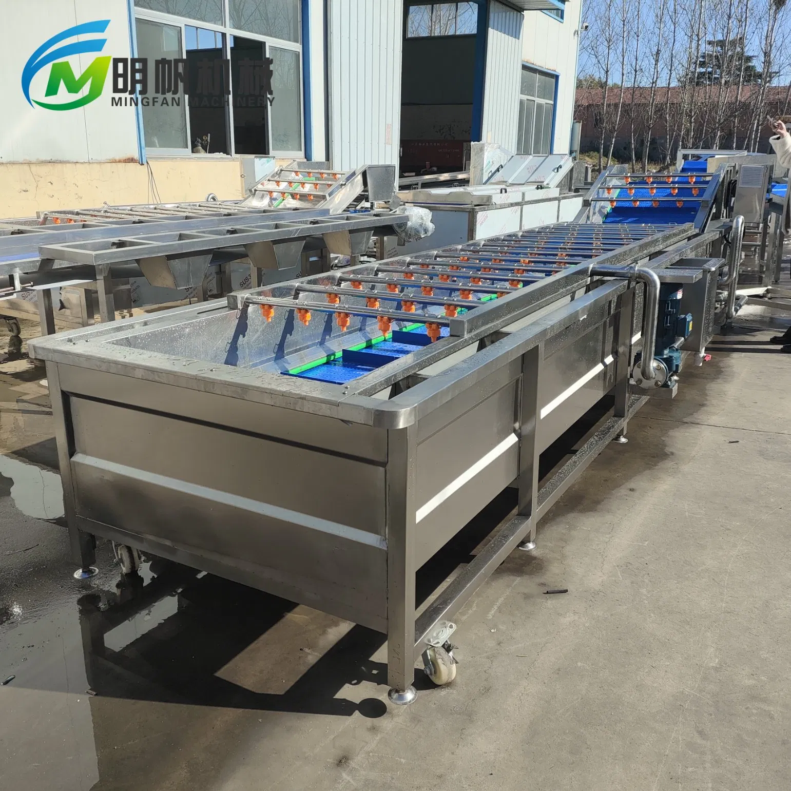 Bubble Washing Equipment for Sushi-Grade Fish and Raw Fish Preparation