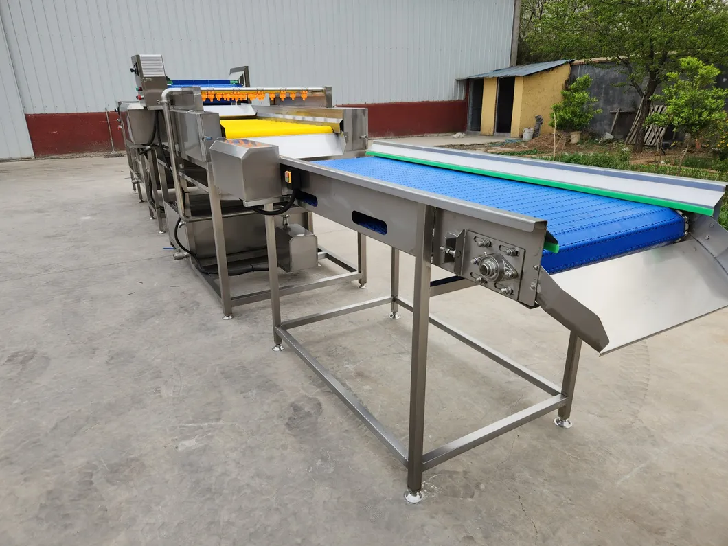 Orange Grape Cleaning Machine for Superior Various Potato Carrot Cassava Preparation Processes