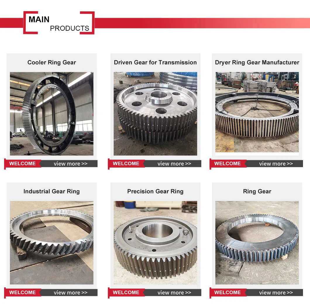 Hot-Selling High Strength Worm Gear for Port Unloader and Stacker