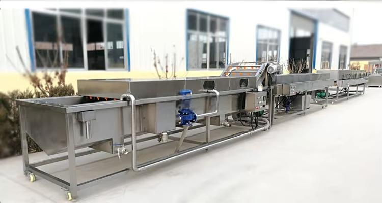 Vegetable Washing Machine Food Equipment Fruit Cleaning Machine
