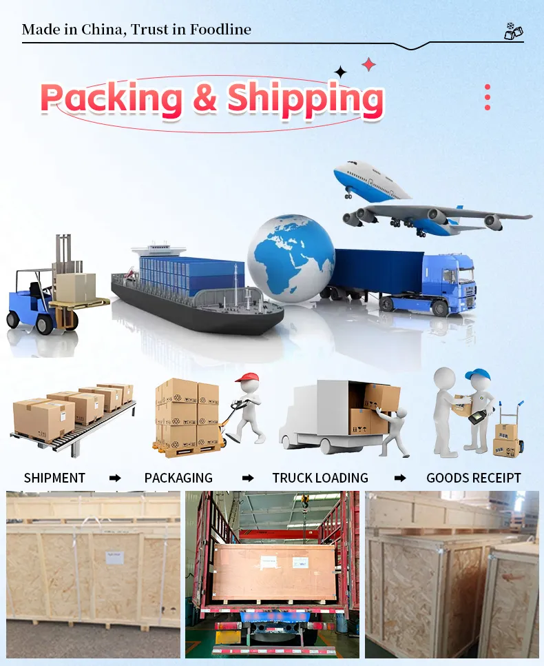 Ice Maker Machine Packing & Delivery