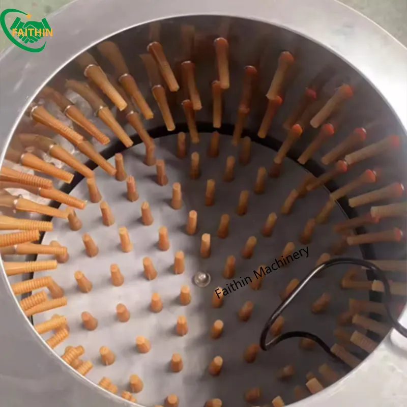 Poultry Plucking Machine Detail