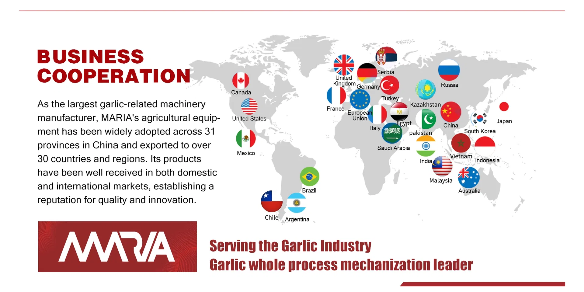 Garlic Peeling Machine Design