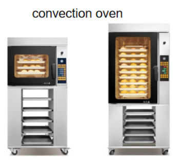 Convection Oven