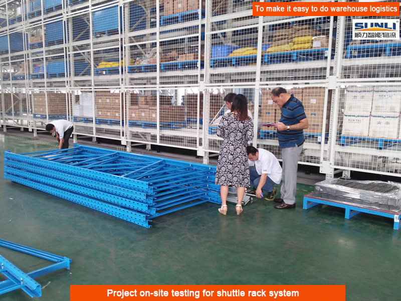 China Factory Direct Warehouse High Operating Speed Two-way Radio Shuttle Racks Storage Shelving Pallet Shuttle Systems