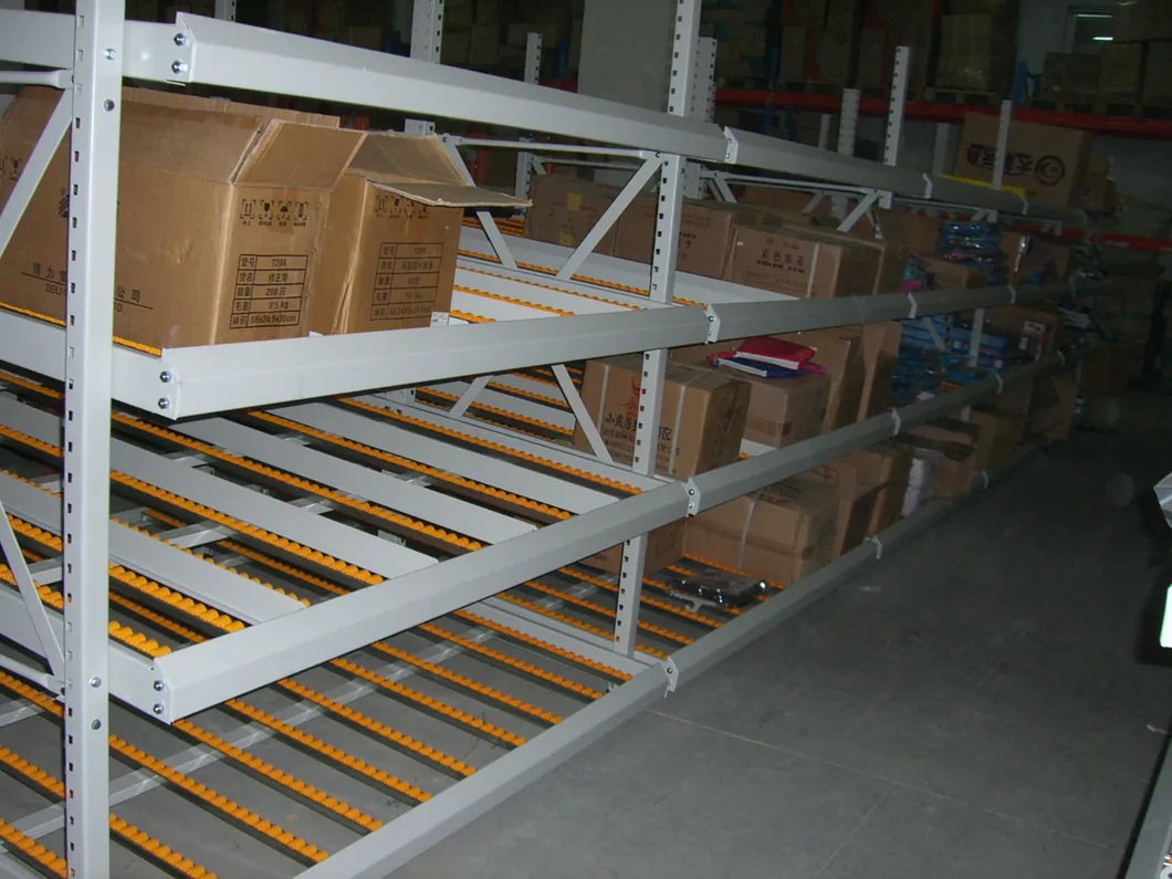 Selective Warehouse Roller Racking Details