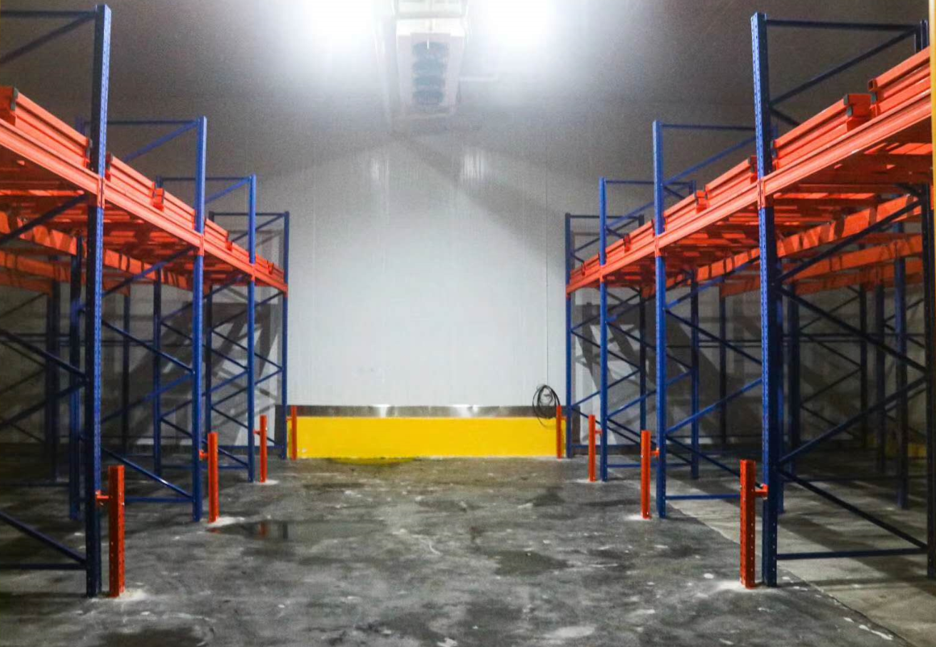 Warehouse Storage Shelving Push-Back Pallet Racking Flexible Steel Cold Storage Rack