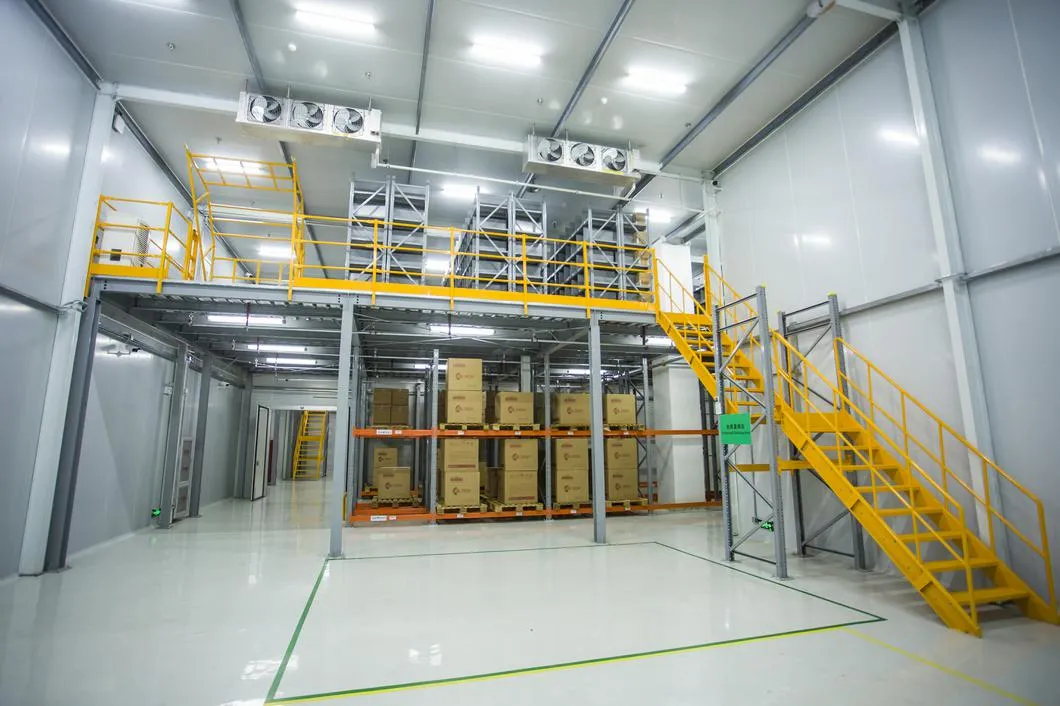 High-Quality Mezzanine Floor Rack Industrial Storage Rack System for Warehouse Racking & Shelving