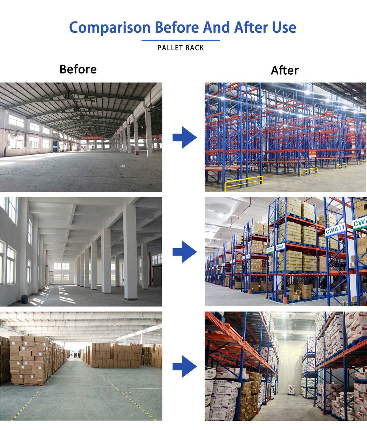 Success Project Case Studies