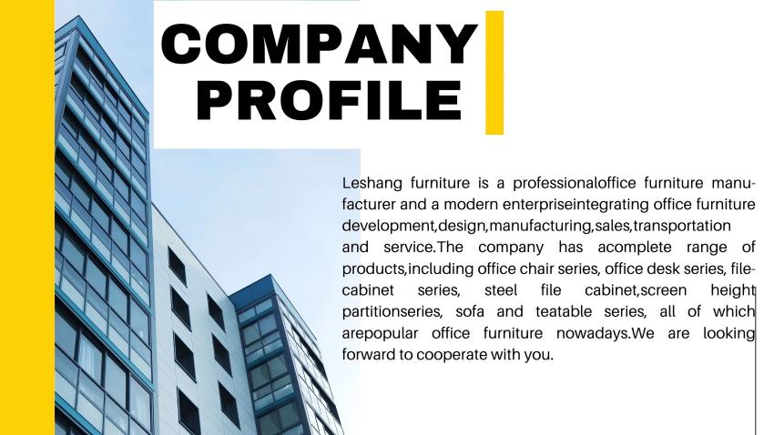 Ergonomic Metal Office Chair with Leather Lumbar Support Foshan Leather Ergonomic Chair with Pillow and Lumber for Desk Use