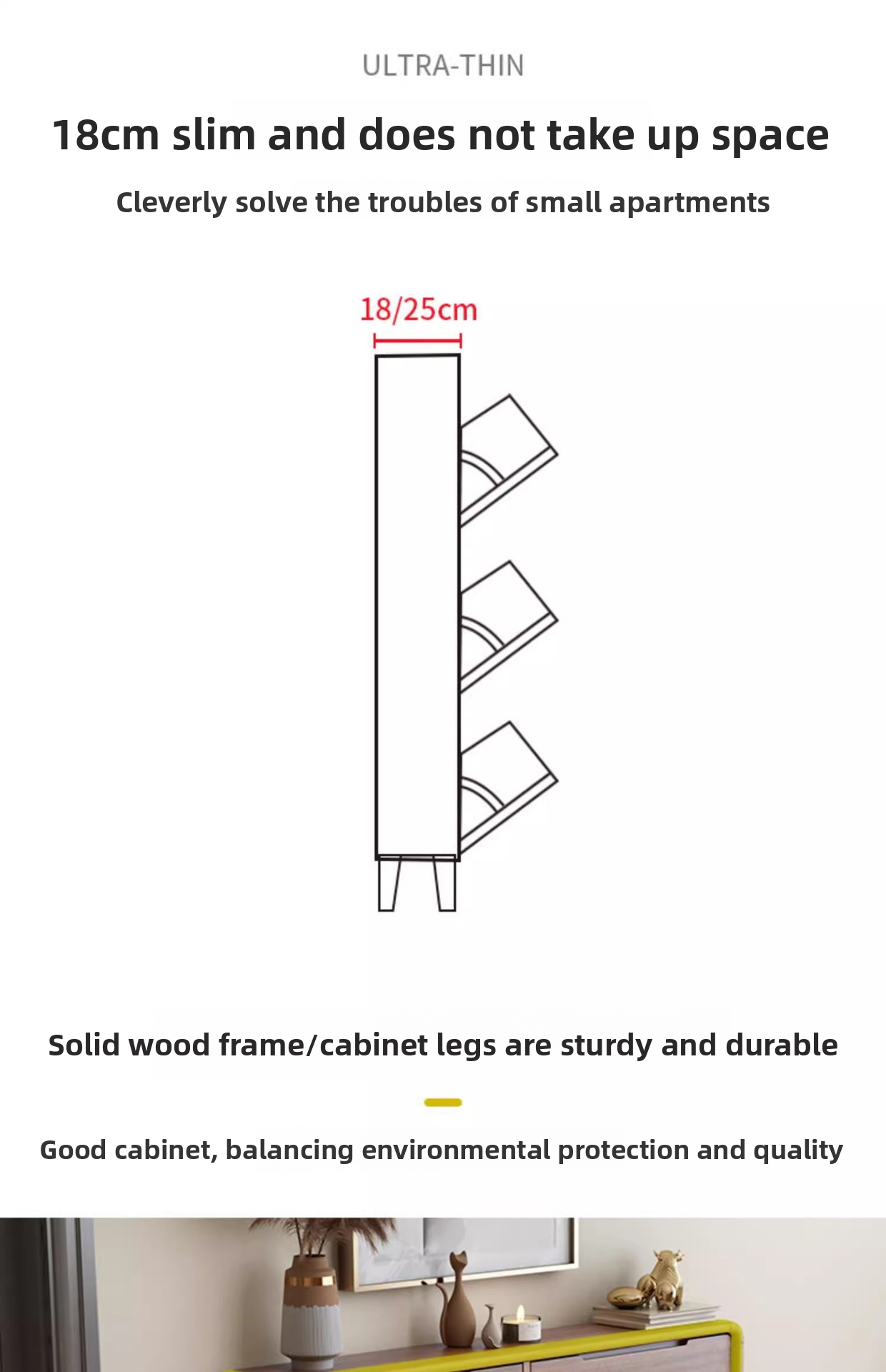 Cabinet Visual 5