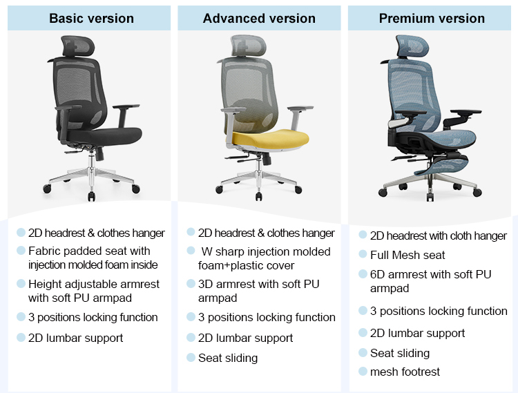 Ergonomic Support Mechanism