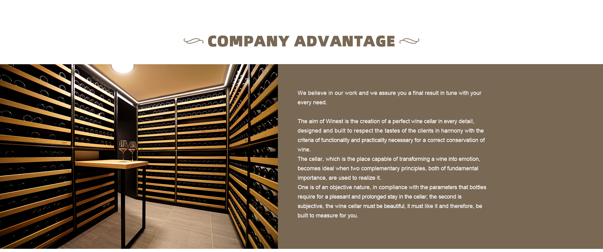 Advantage Image 1