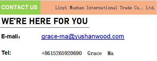 Certificate 5