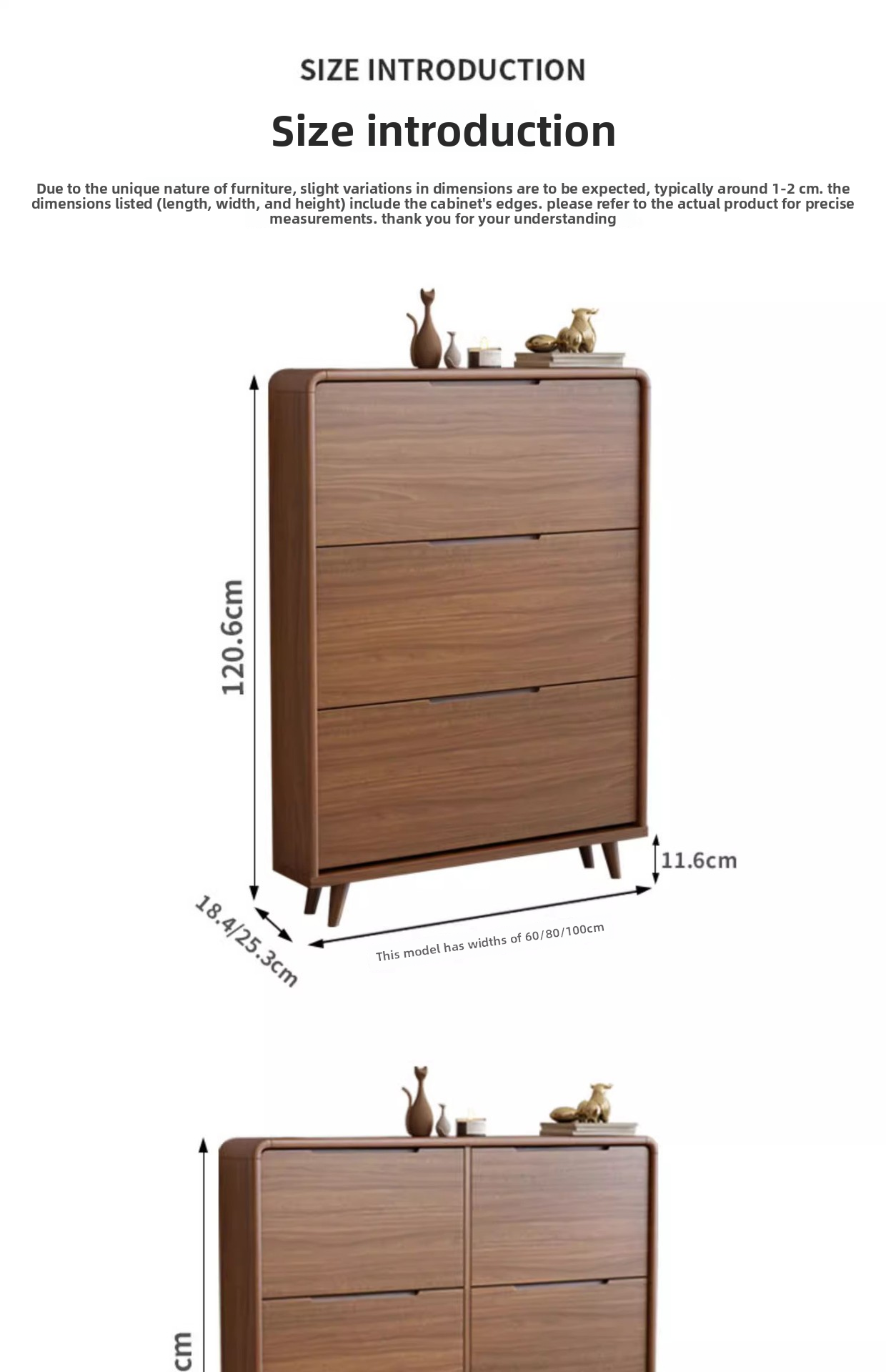 Cabinet Visual 6