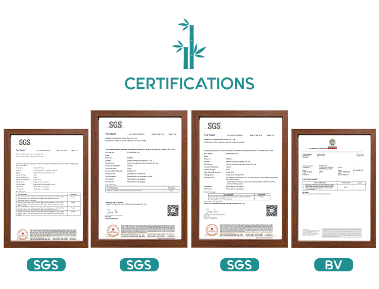 Certificate 1