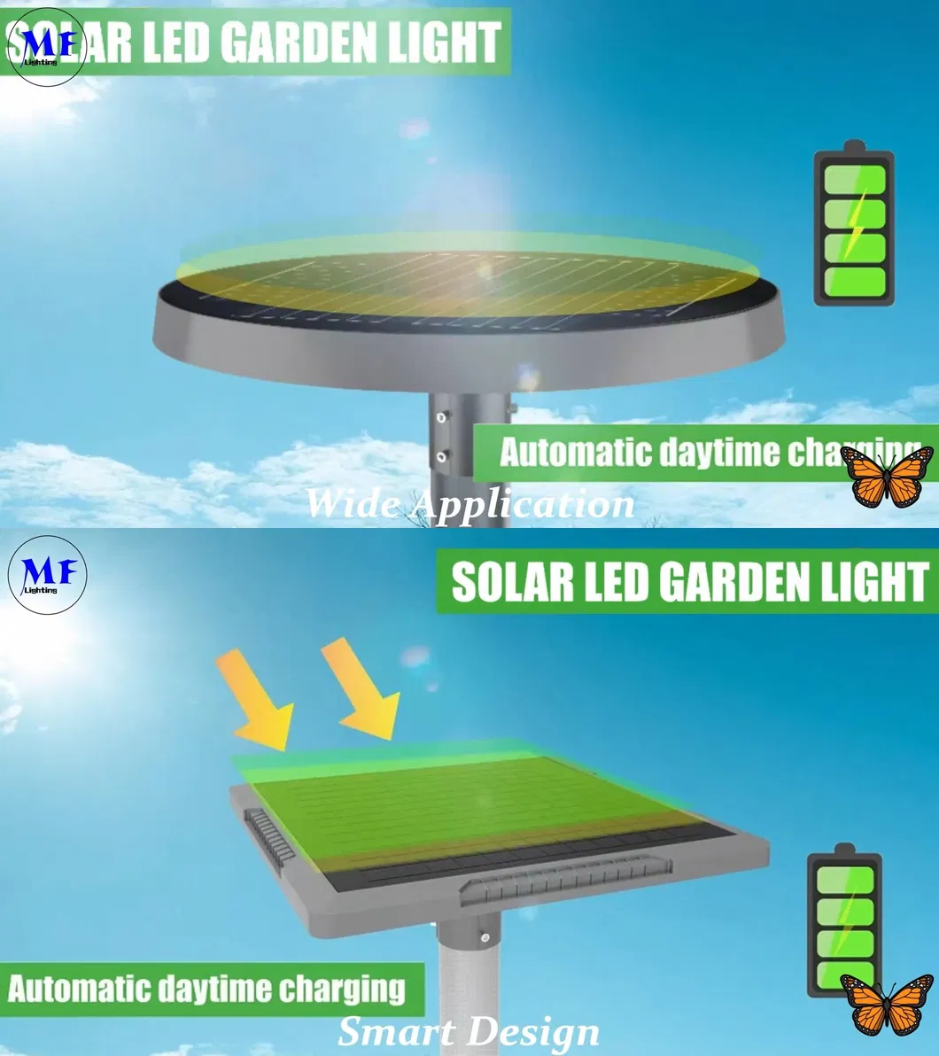 Solar Light Feature 1