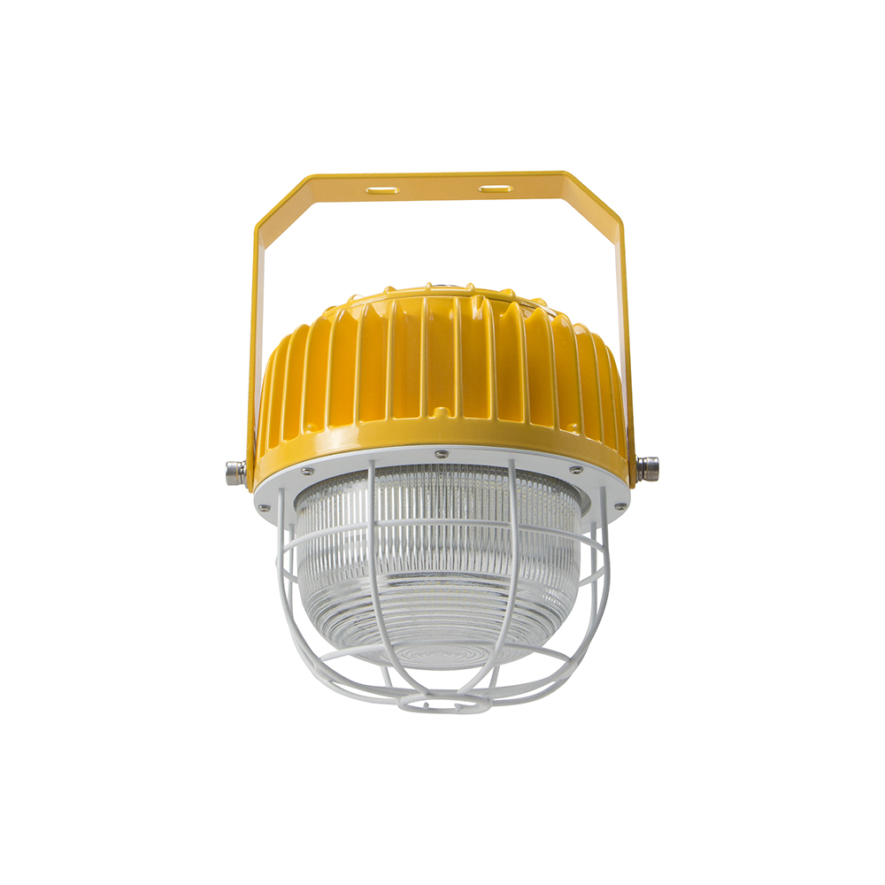 Led Explosion Proof Professional Explosion Proof Lamps 40W 60W 80W 100W Explosion-proof Lights