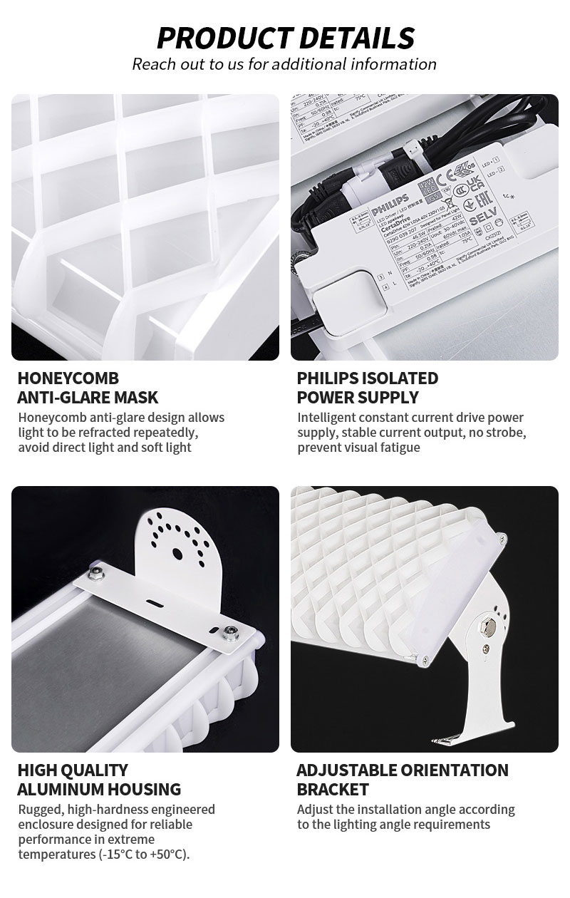 High Performance Sports Light