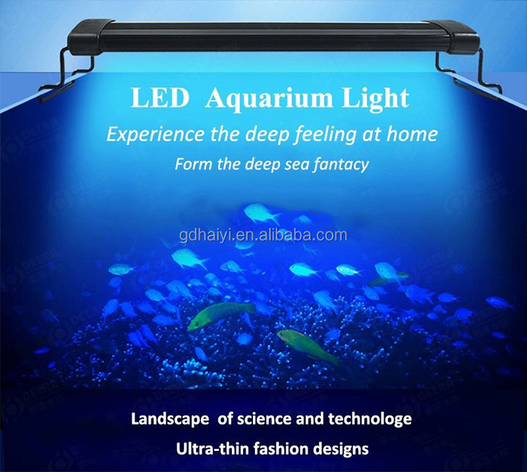 Aquarium LED Light Display